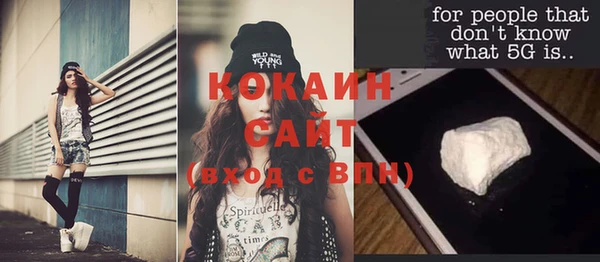 молекула духа Алексин