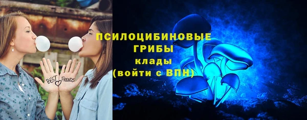 ешки Пестово