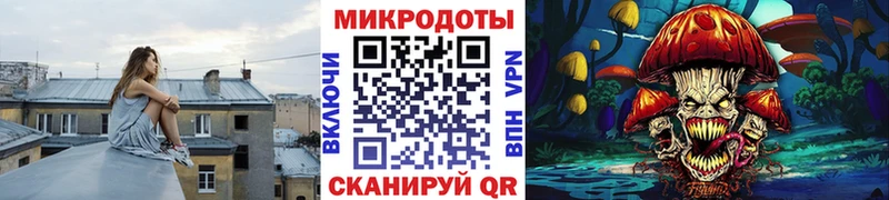 магазин    Сасово  Псилоцибиновые грибы Psilocybe 